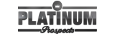 Platinum Prospects